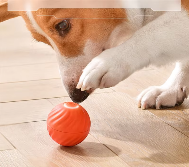 Interactive Dog Ball