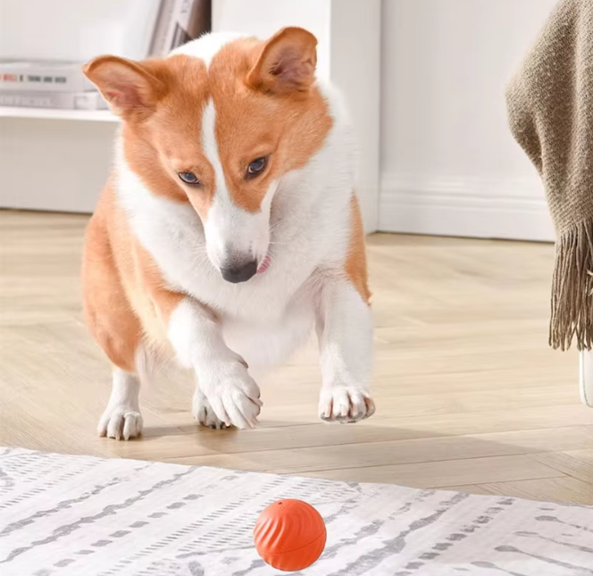 Interactive Dog Ball